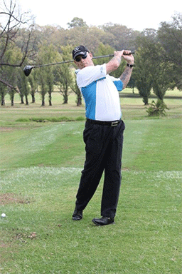 Figure 1: the Driver